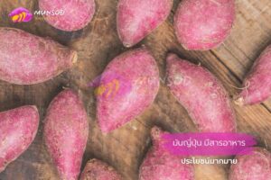 มันญี่ปุ่น สารอาหาร