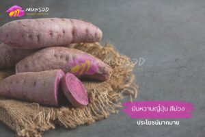 มันหวานญี่ปุ่น สีม่วง