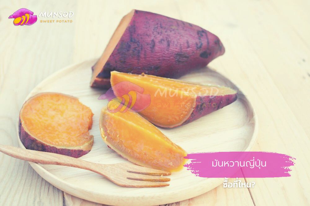 มันหวานญี่ปุ่นซื้อที่ไหน